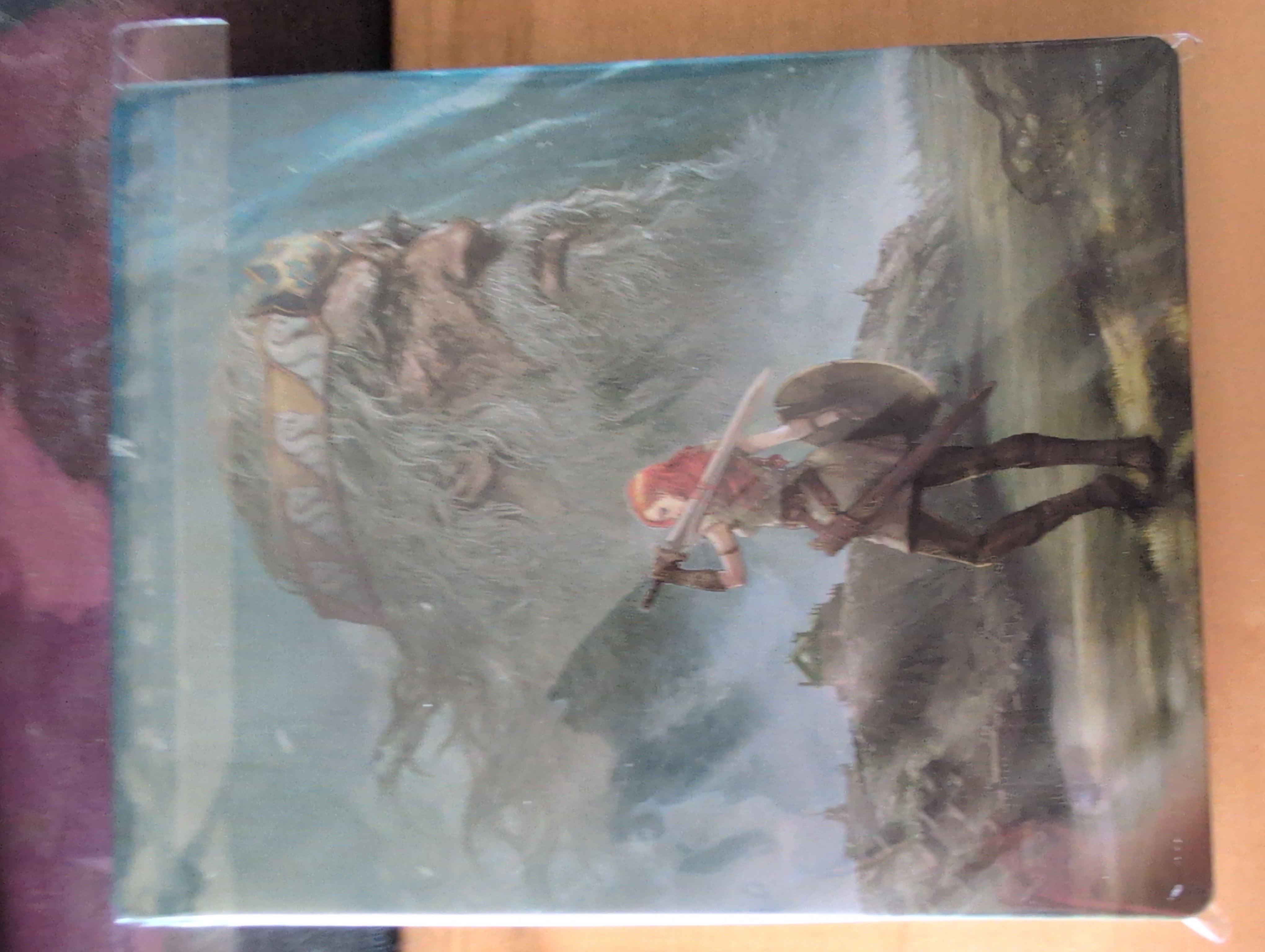 Steelbook photo 2